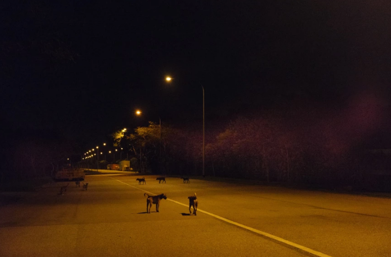 Carousel Image number 9